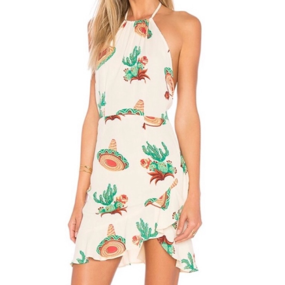 Flynn Skye Mexican Theme Monica Dress in Cactus Sz S